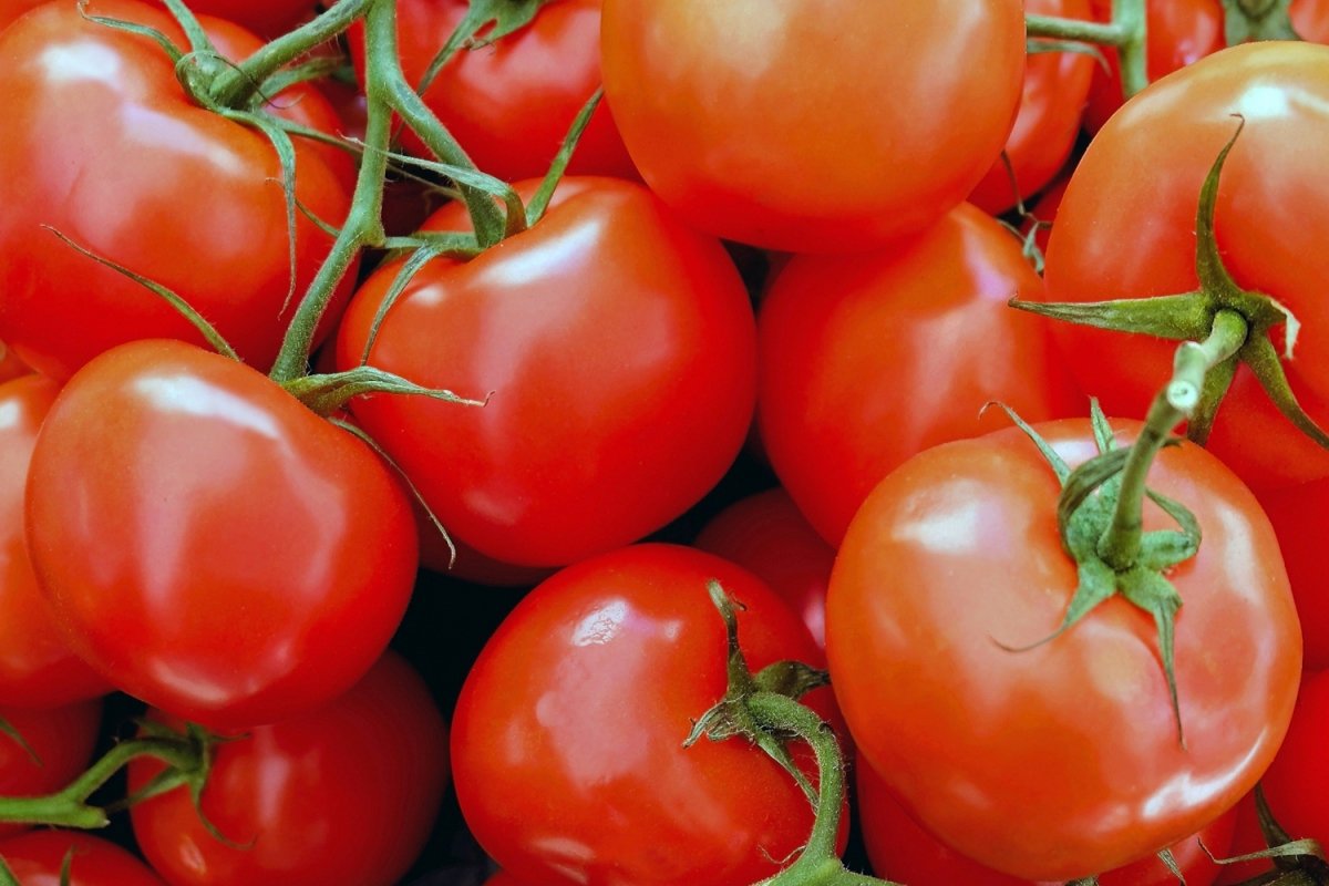 Tomates (kg)
